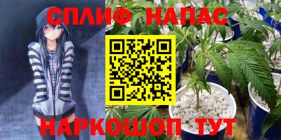 индика Заволжье