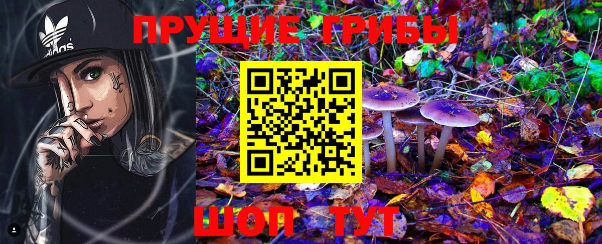 Галлюциногенные грибы GOLDEN TEACHER Комсомольск-на-Амуре